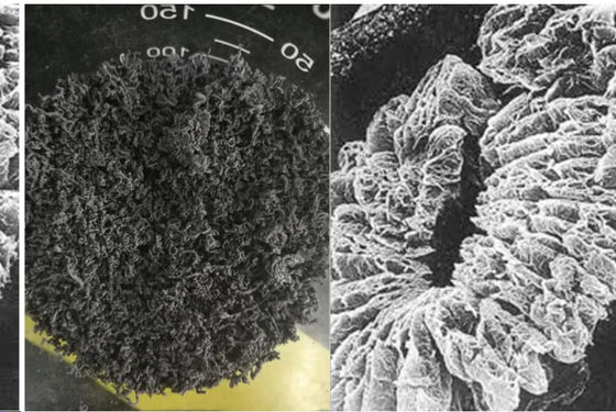 +100 Mesh 고 탄소 확장 그래피트