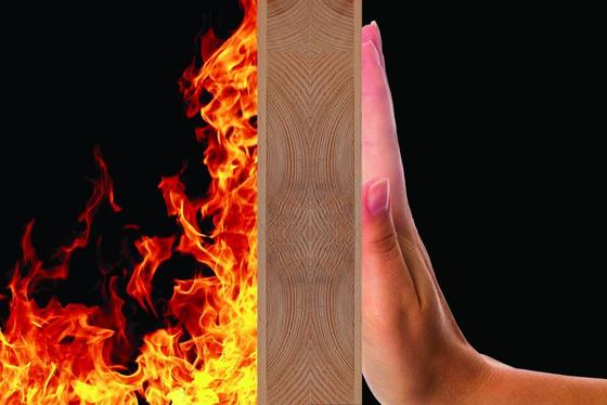 확장 비율 270/g 미니 확장 가능한 그래피트 분말